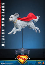 Superman (2025) Movie Masterpiece Action Figur 1/6 Superman & Krypto 33 cm Hot Toys