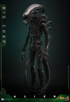 Alien Movie Masterpiece Action Figur 1/6 Big Chap 36 cm Hot Toys