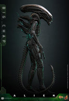 Alien Movie Masterpiece Action Figur 1/6 Big Chap 36 cm Hot Toys
