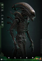 Alien Movie Masterpiece Action Figur 1/6 Big Chap 36 cm Hot Toys