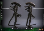 Alien Movie Masterpiece Action Figur 1/6 Big Chap 36 cm Hot Toys
