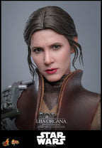 Star Wars Episode VI Filmmästerverk Actionfigur 1/6 Leia Organa (Boushh Förklädnad) 27 cm Hot Toys