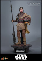 Star Wars Episode VI Filmmästerverk Actionfigur 1/6 Leia Organa (Boushh Förklädnad) 27 cm Hot Toys