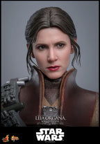 Star Wars Episode VI Filmmästerverk Actionfigur 1/6 Leia Organa (Boushh Förklädnad) 27 cm Hot Toys
