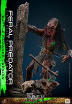 Prey Action Figur 1/6 Feral Predator (Battle Damaged Version) 37 cm Hot Toys