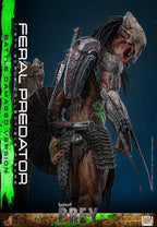 Prey Action Figur 1/6 Feral Predator (Battle Damaged Version) 37 cm Hot Toys