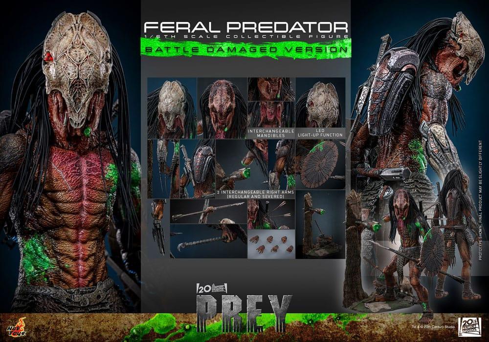 Prey Action Figur 1/6 Feral Predator (Battle Damaged Version) 37 cm Hot Toys
