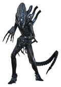 Alien Kultfigursactionfigur 1/6 Alien Warrior 39 cm
