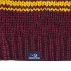 Harry Potter Slouchy Mössa Gryffindor Cinereplicas