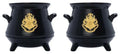 Harry Potter 3D Salt- och Pepparkvarn i Kittelform