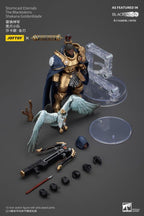 Warhammer Age of Sigmar Actionfigur Stormcast Eternals The Blacktalons Shakana Goldenblade 20 cm Joy Toy (CN)