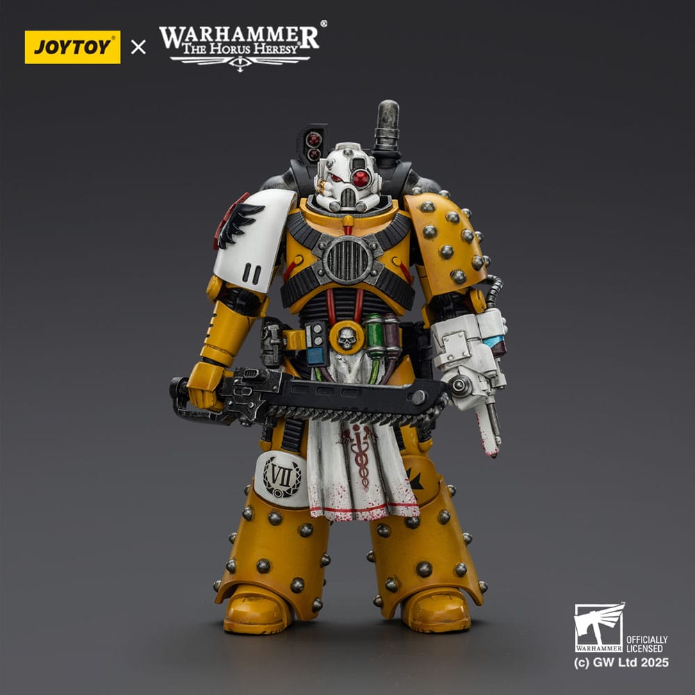 Warhammer 40,000: Imperial Fists Action Figur Legion Apothecary 12 cm Joy Toy (CN)