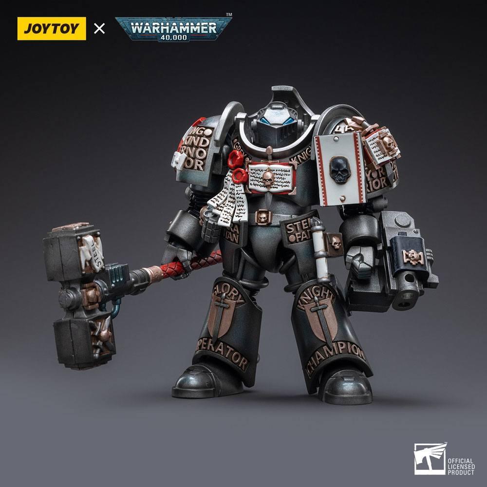 Warhammer 40k Action Figur 1/18 Grey Knights Terminator Caddon Vibova 13 cm Joy Toy (CN)