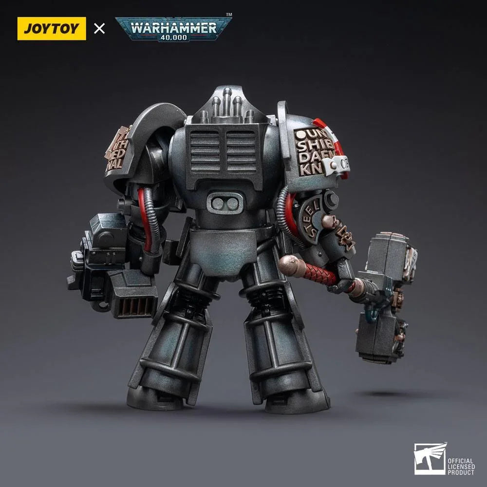 Warhammer 40k Action Figur 1/18 Grey Knights Terminator Caddon Vibova 13 cm Joy Toy (CN)