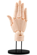 Takahiro Kagami PVC Artist Support Item Hand 1/1 Modell/R Ljusorange 21 cm Kotobukiya