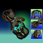 Rover Robin Plastic Model Kit Takes Over Skull Rider