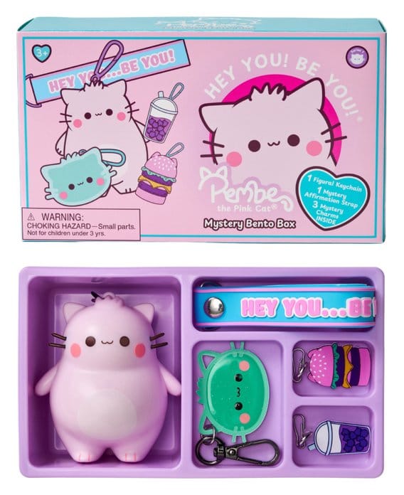 Pink Keyring Blindbox Bento Box Display 8 cm (8)