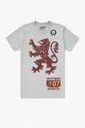 Harry Potter T-shirt Gryffindor 07 Quidditch Lejonemblem Storlek L