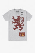 Harry Potter T-shirt Gryffindor 07 Quidditch Lejonemblem