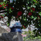 Jujutsu Kaisen Mega Cat Project Nyaruto Trading Figure Satoru Gojo 11 cm Megahouse