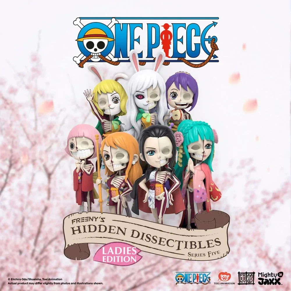 One Piece Blind Box Hidden Dissectibles Series 5 (Ladies ed.) Display (6) Mighty Jaxx