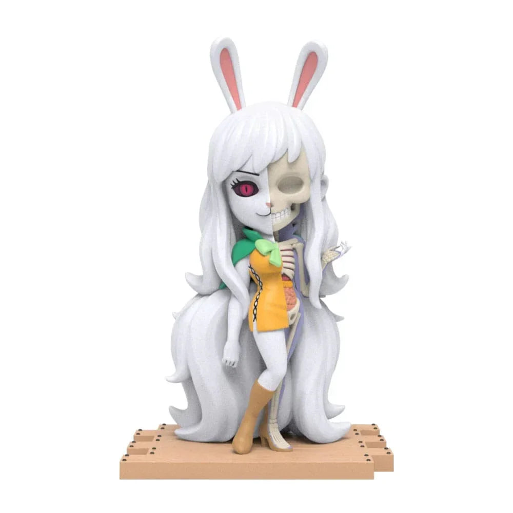 One Piece Blind Box Hidden Dissectibles Series 5 (Ladies ed.) Display (6) Mighty Jaxx