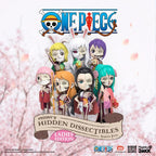 One Piece Blind Box Hidden Dissectibles Series 5 (Ladies ed.) Display (6) Mighty Jaxx