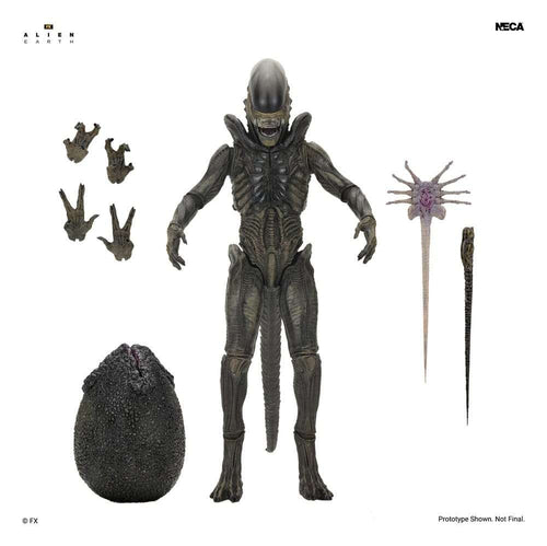 Alien: Earth Ultimate Action Figure Xenomorph 18 cm