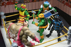 Teenage Mutant Ninja Turtles (Archie Comics) Action Figurr 4-Pack Stump Wrestling Turtles 18 cm NECA