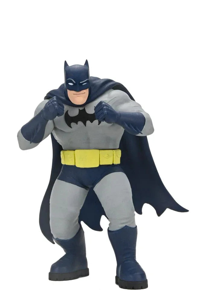 DC Comics Action Figurr Serie 2 15 cm Sortiment (12) NECA