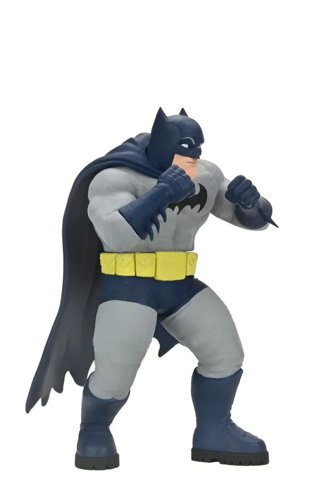 DC Comics Action Figurr Serie 2 15 cm Sortiment (12) NECA