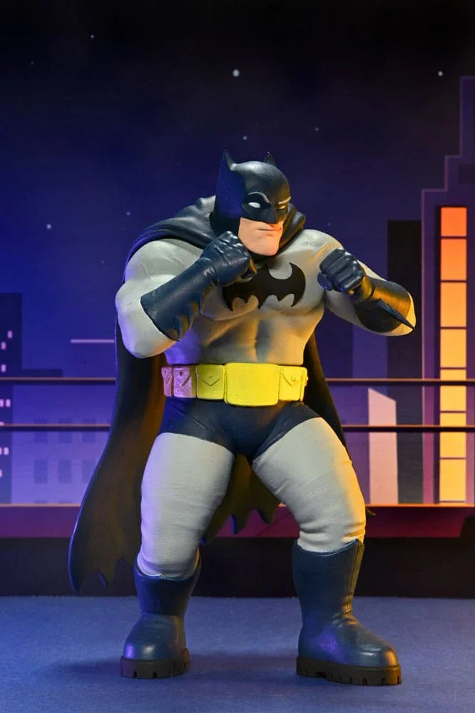 DC Comics Action Figurr Serie 2 15 cm Sortiment (12) NECA