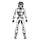 Teenage Mutant Ninja Turtles Action Figur Casey Jones Svart & Vit 18 cm NECA