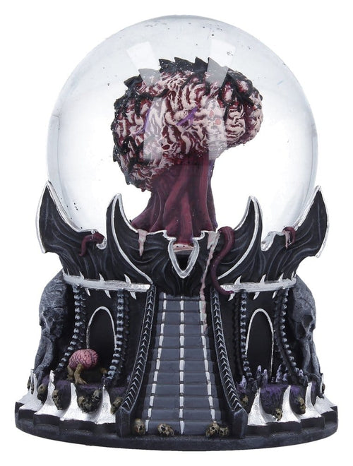 Dungeons & Dragons Snöglob Äldre Hjärna 15 cm Nemesis Now