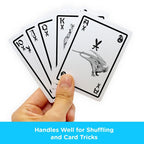 Harry Potter Slytherin Spelkort Aquarius