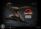 Jurassic Park Prime Collectibles Figur 1/10 Velociraptor Open Mouth 19 cm Prime 1 Studio