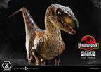 Jurassic Park Prime Collectibles Figur 1/10 Velociraptor Open Mouth 19 cm Prime 1 Studio