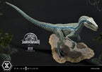 Jurassic World: Fallen Kingdom Prime Collectibles Statue 1/10 Blue (Öppen Mun Version) 17 cm Prime 1 Studio
