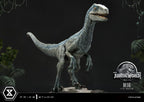 Jurassic World: Fallen Kingdom Prime Collectibles Statue 1/10 Blue (Öppen Mun Version) 17 cm Prime 1 Studio