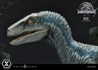 Jurassic World: Fallen Kingdom Prime Collectibles Statue 1/10 Blue (Öppen Mun Version) 17 cm Prime 1 Studio