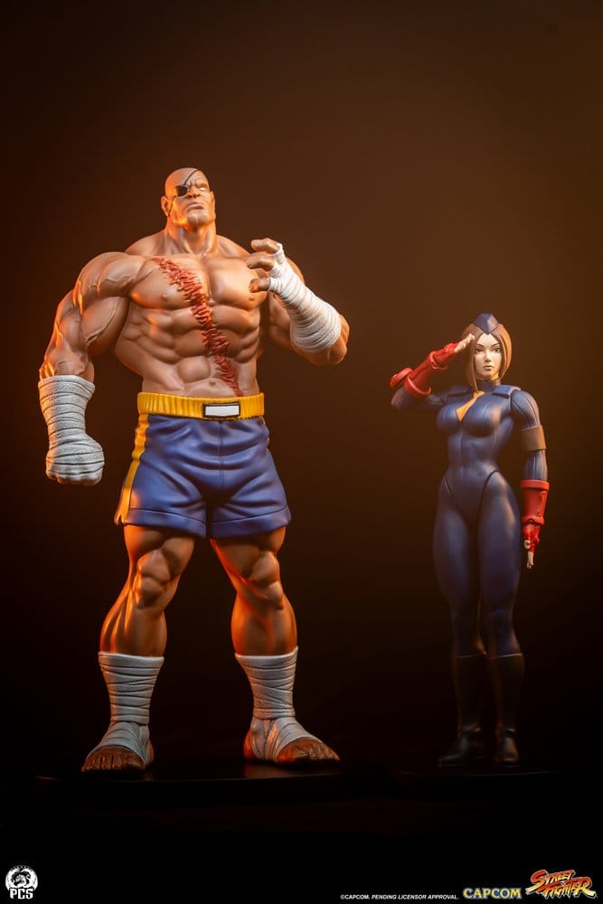 Street Fighter Street Jam Figurn 1/10 Sagat & Juli 24 cm