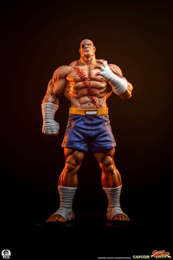 Street Fighter Street Jam Figur 1:10 Sagat & Juli 24 cm