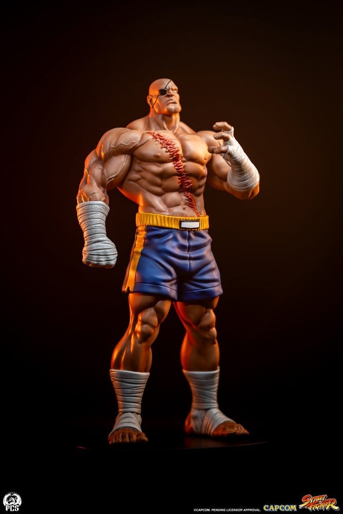 Street Fighter Street Jam Figur 1:10 Sagat & Juli 24 cm