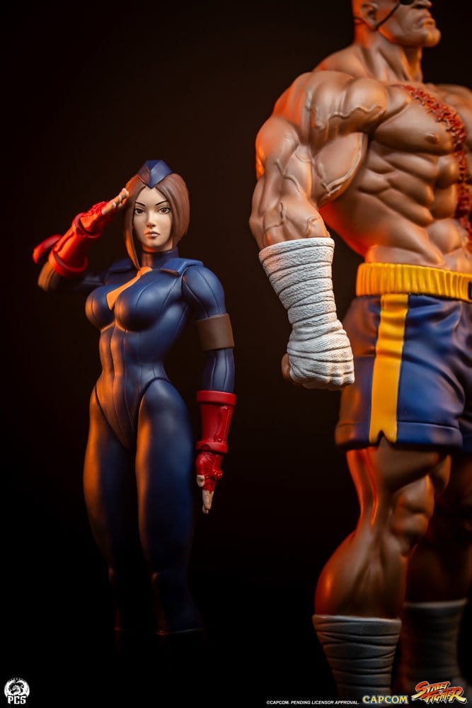 Street Fighter Street Jam Figur 1:10 Sagat & Juli 24 cm