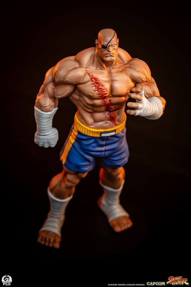 Street Fighter Street Jam Figur 1:10 Sagat & Juli 24 cm