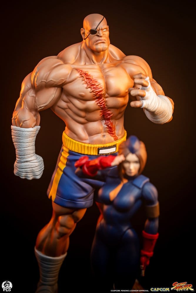 Street Fighter Street Jam Figur 1:10 Sagat & Juli 24 cm