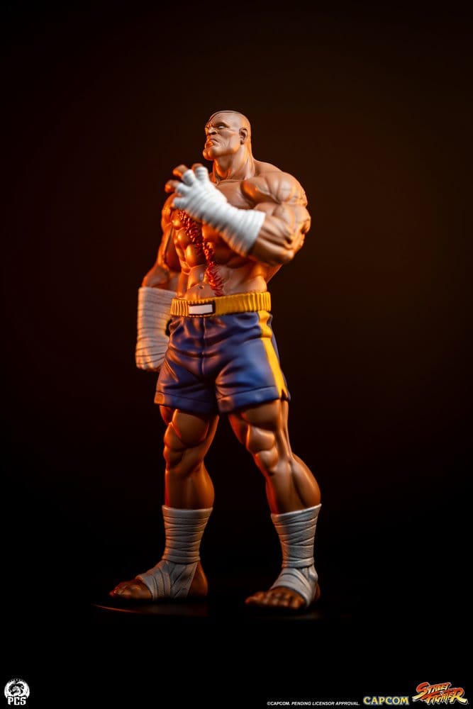 Street Fighter Street Jam Figur 1:10 Sagat & Juli 24 cm