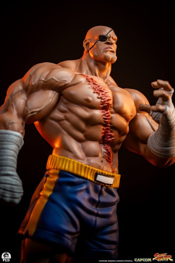 Street Fighter Street Jam Figur 1:10 Sagat & Juli 24 cm