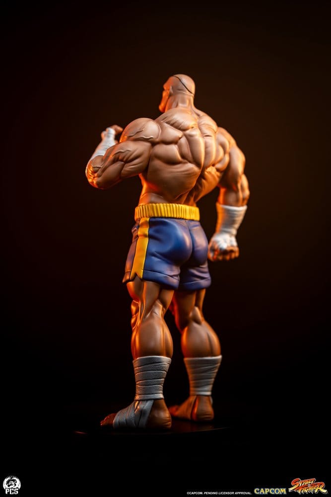 Street Fighter Street Jam Figur 1:10 Sagat & Juli 24 cm