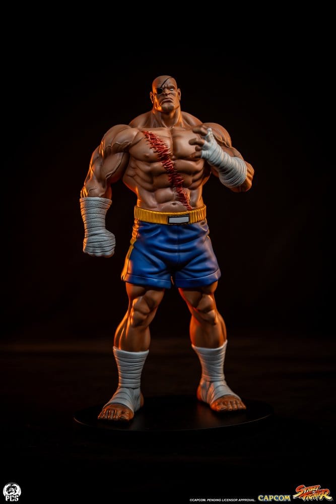 Street Fighter Street Jam Figur 1:10 Sagat & Juli 24 cm